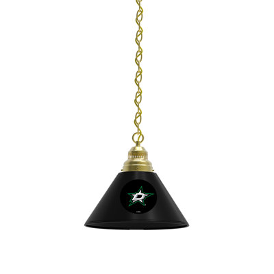 1 - Light Single Pendant