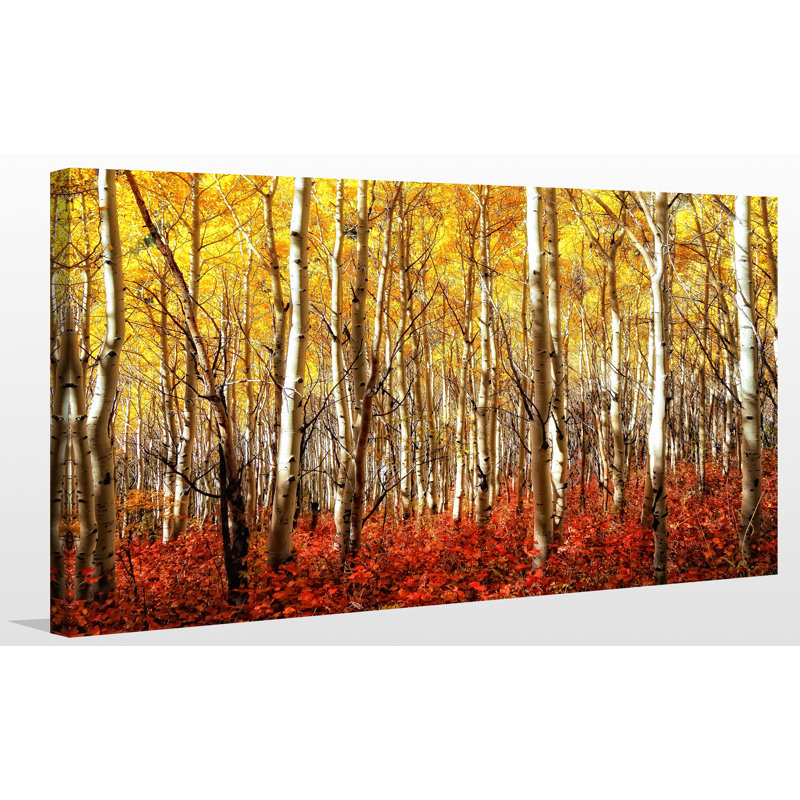 Bouleaux - reproduction de photo sur toile tendue, H 28 po x l 48 po x P 1,5 po