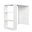Djamschid Writing Desk