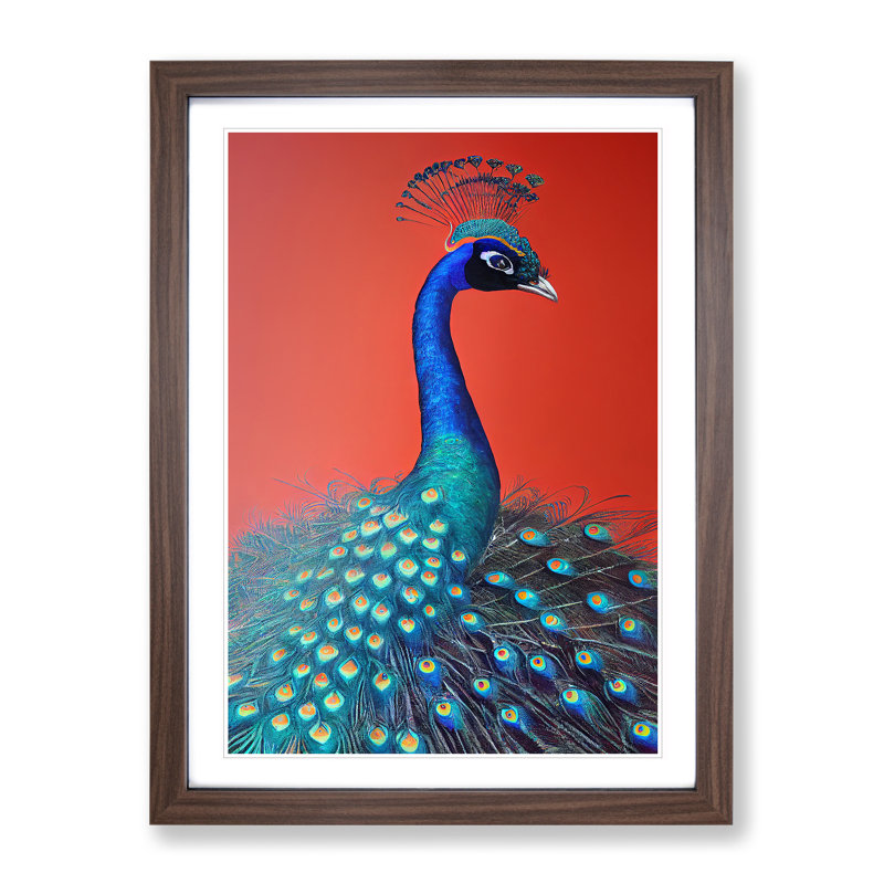 Extraordinary Peacock - Single Picture Frame Print, 46cm H x 34cm W x 2cm D, Walnut