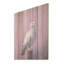 Polished Dove - Dove Wood Wall Art On Natural Pine Wood-934598551