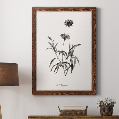 " Sketchbook Imperial " Painting Print