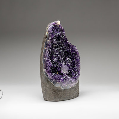 Amethyst Cloche Or Water Globe