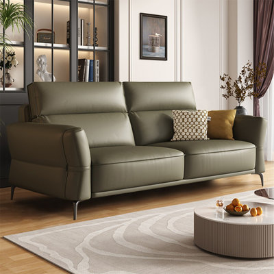 Green Genuine Leather Standard Sofa cushion Loveseat