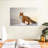 Brampt Majestic Fox-108817023