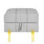 Repose-pieds de rangement en cuir anti-égratignures 22 pouces, banc d'entrée pour animaux de compagnie avec pieds en acier inoxydable doré, gris