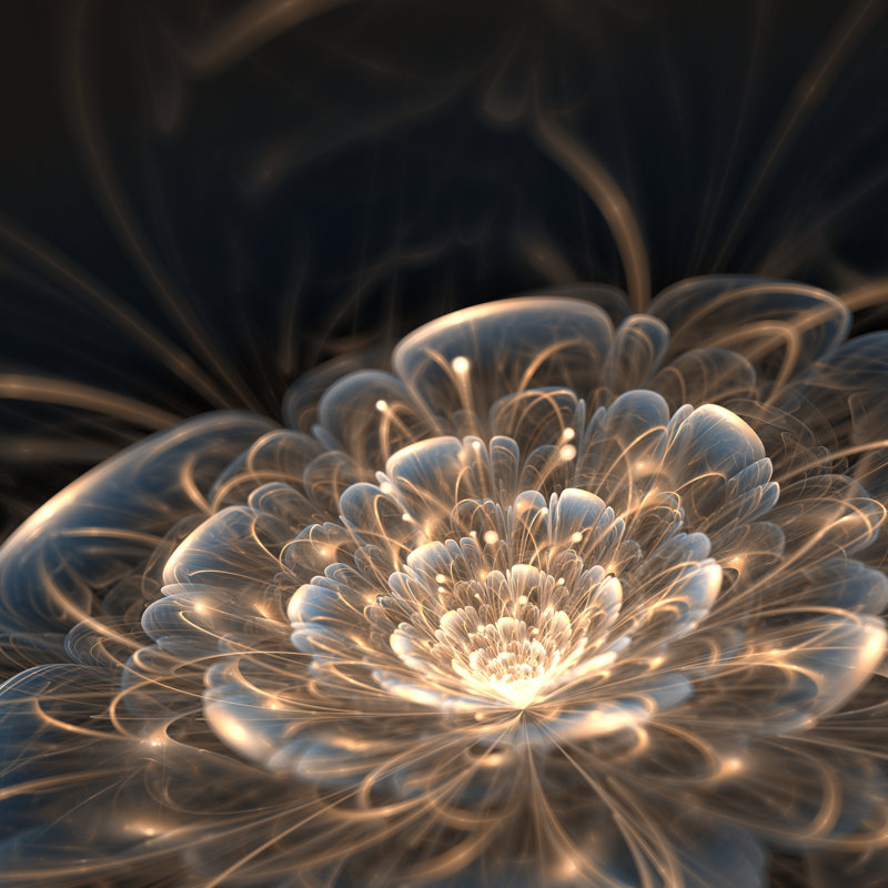 Flower With Golden Rays by Anikakodydkova - Wrapped Canvas Print, 51cm H x 51cm W x 3.8cm D