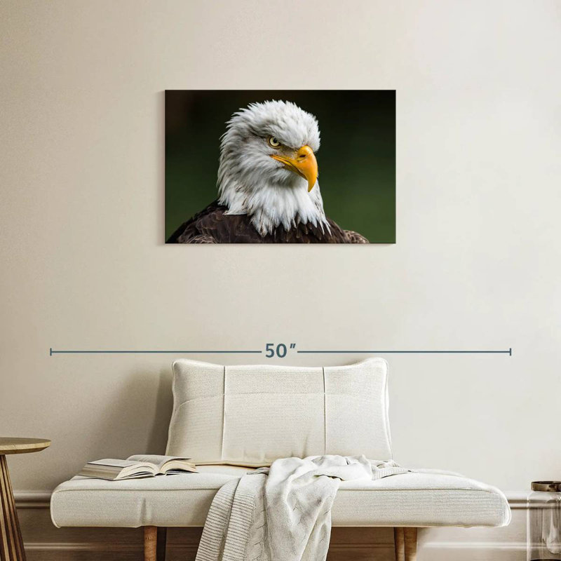 Brampt Bald Eagle Stare, 20" H x 30" W