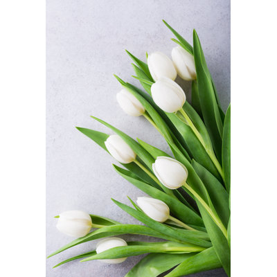 Beautiful White Tulips by Merinka - Wrapped Canvas Print