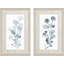 Gris botanique S / 2