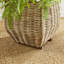 Sylvie Handmade Seagrass Planter-1930649387
