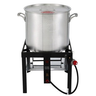 https://assets.wfcdn.com/im/33761956/resize-h310-w310%5Ecompr-r85/1983/198318261/80qt-aluminum-boil-kit-with-basket-perfect-for-seafood-boiling.jpg