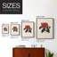 Impression florale vintage encadrée CXC III - bois massif-1081416044-1081416040