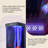 Vertical Water-Circulation Bottom-Filter Aquarium
