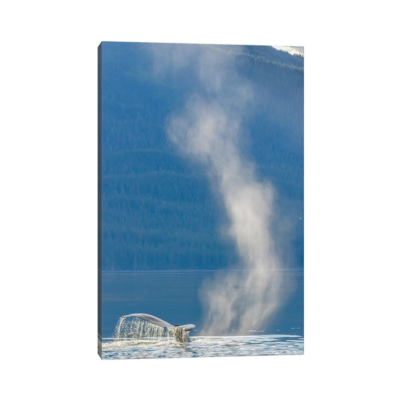 USA, Alaska, Tongass National Forest. Humpback Whale Dives After Spouting by Jaynes Gallery - Wrapped Canvas Painting