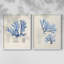 Algue bleue bleue - reproduction encadrée de qualité supérieure - prête à être accrochée - aucun clou requis - aucun clou requis-807077258-807077249