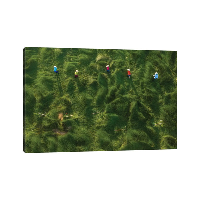 Water-Chestnuts Harvesting by Trung Pham - Wrapped Canvas Gallery-Wrapped Canvas Giclée, 45.72 cm H x 66.04 cm W