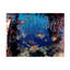 Art sur toile Ilan Ben Tov-1755236479