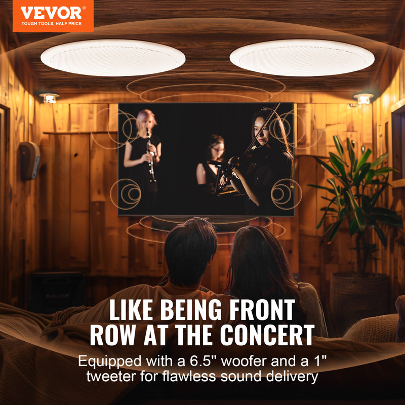 Decorative Radio with Bluetooth
