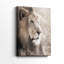 Leo - Cavas enveloppés de galerie-1397141491