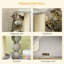 Cat Tree