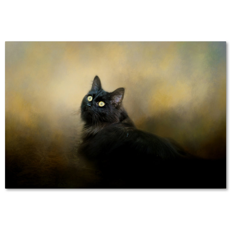 «In the Garden Light» de Vidur, impression sur toile tendue, H 12 po x l 19 po