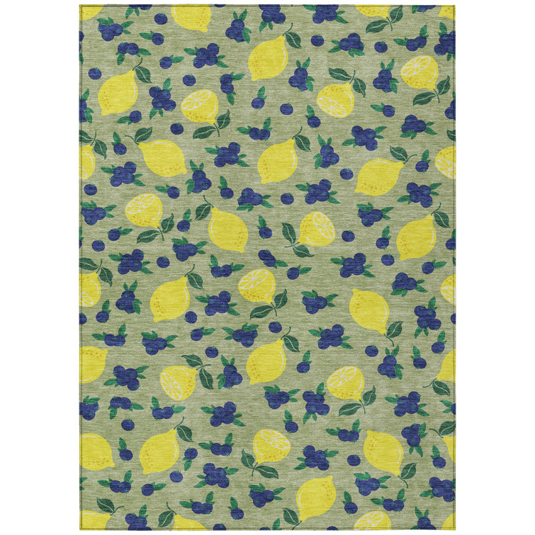 Machine Washable Indoor/Outdoor Bourkelands ACN2354 Fruits Rug