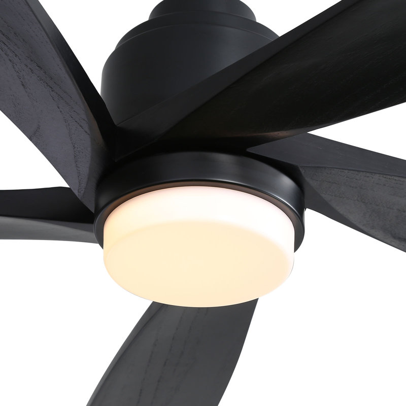 Damecia 52'' Ceiling Fan with LED Lights, Black