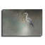 Art mural en métal «Peaceful Egret Teal C» par Julia Purinton-1556108969
