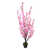 Pink is out of stock selected