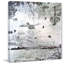 Peripheral Collage by Tracy Silva Barbosa - Wrapped Canvas Painting-1644409406