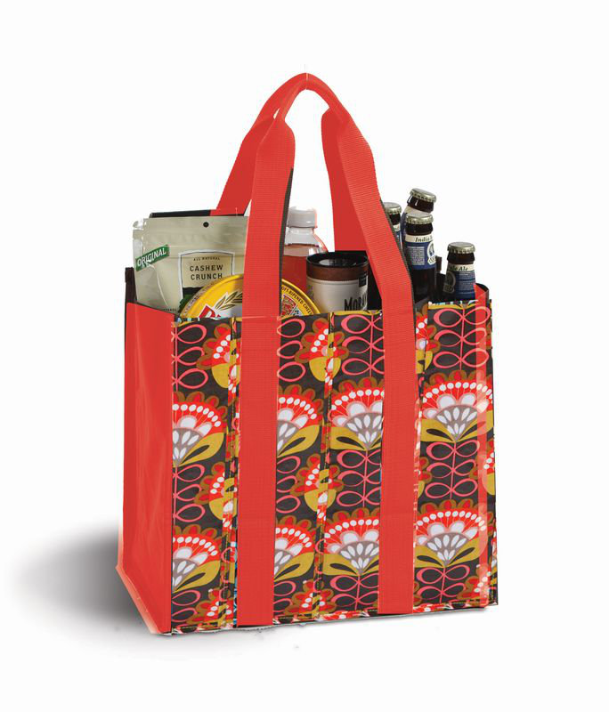 Arlmont & Co. Tyra Canvas Picnic Tote Bag Wayfair