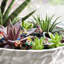 7 pièces de décoration gnome jardinage décoration père Noël décorations pvc artisanat fleurs nain