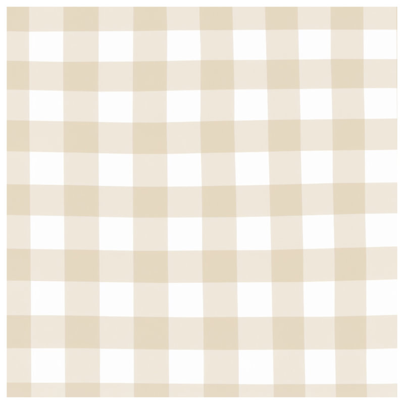 Coussins décoratifs à motif vichy beige et blanc, 18 x 18 inches