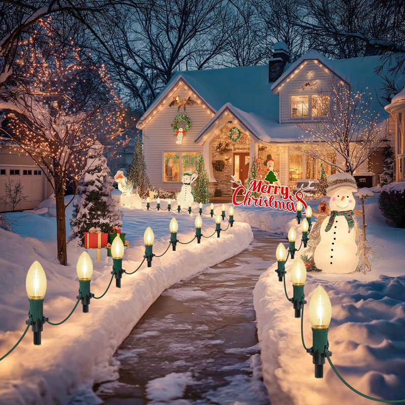 Guirlande lumineuse de Noël à DEL C9 de 9 m (30 pi) avec 20 lumières, pinces et piquets de 19 cm (7,5 po), multicolore
