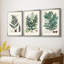 Collectionner Ferns VI - Toile tendue avec châssis sur mesure - 3 pièces-1943549601-1943549605
