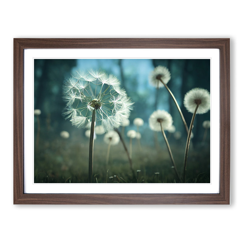 Alluring Dandelion Flowers - Single Picture Frame Print, Walnut, 46cm H x 64cm W x 2cm D