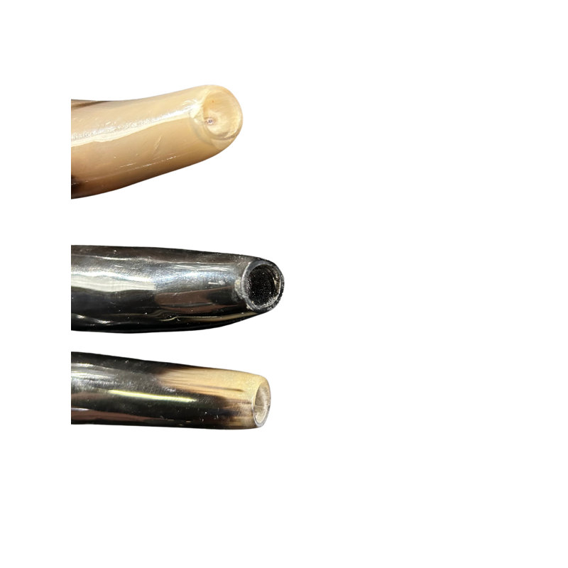 Polished Eland Horn Shofar