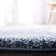 Kerio Shag Performance Abstract Rug