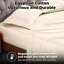Ensemble de draps en satin de coton peigné de qualité supérieure à densité du tissage de 300 fils-408824362-408824359