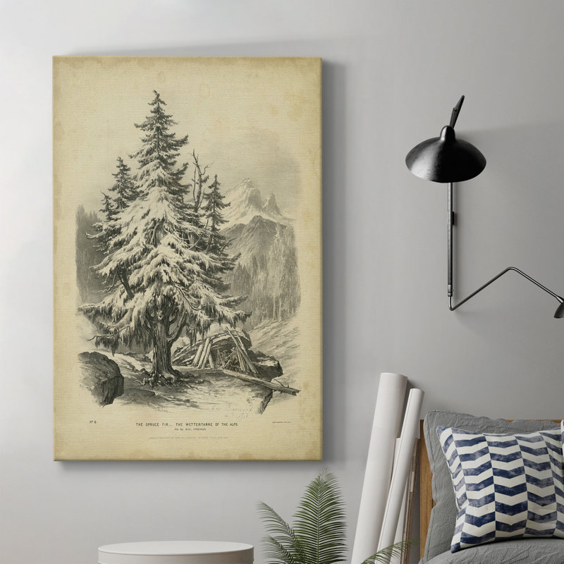 Toile tendue avec châssis The Spruce Premium - prête à être accrochée, H 27 po x l 18 po x P 1 po
