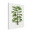Art sur toile Les Palmiers Rxis-103094662