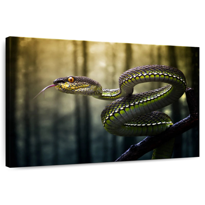 Brampt Sumatran Jungle Viper, 20" H x 30" W
