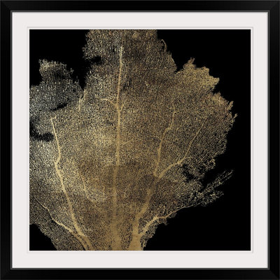 Honeycomb Coral " Honeycomb Coral I " by Aimee Wilson