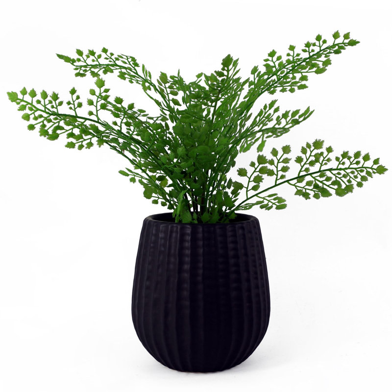 Ceramic Cachepot, Black