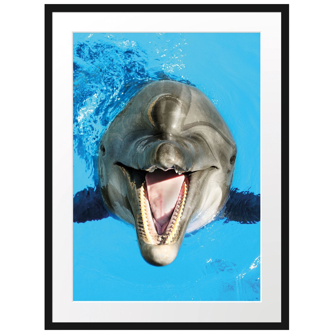 Gerahmtes Poster Delfin lacht