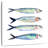 Brampt Sardine Team I