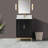 Gracie 24'' Single Bathroom Vanity with Top-51573317-101798669