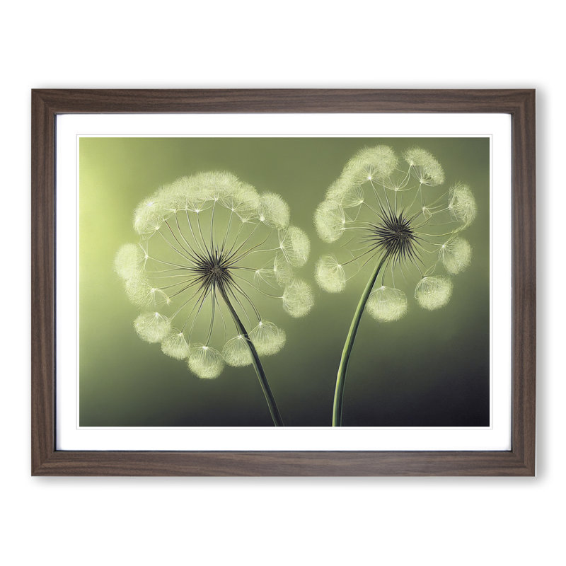 Soulful Dandelion Flowers - Single Picture Frame Print, 46cm H x 64cm W x 2cm D, Walnut