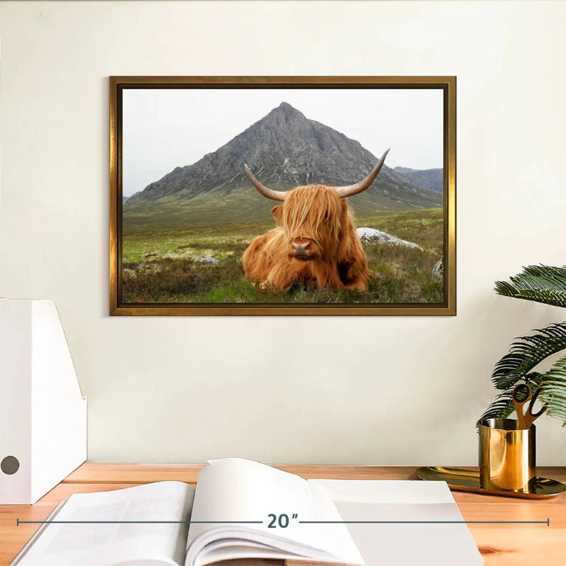 Highland Cow Serenity, Cadre flottant doré, 31 po x 21 po
